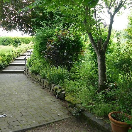 Apartmán Land Und Leute Fritzlar Exteriér fotografie